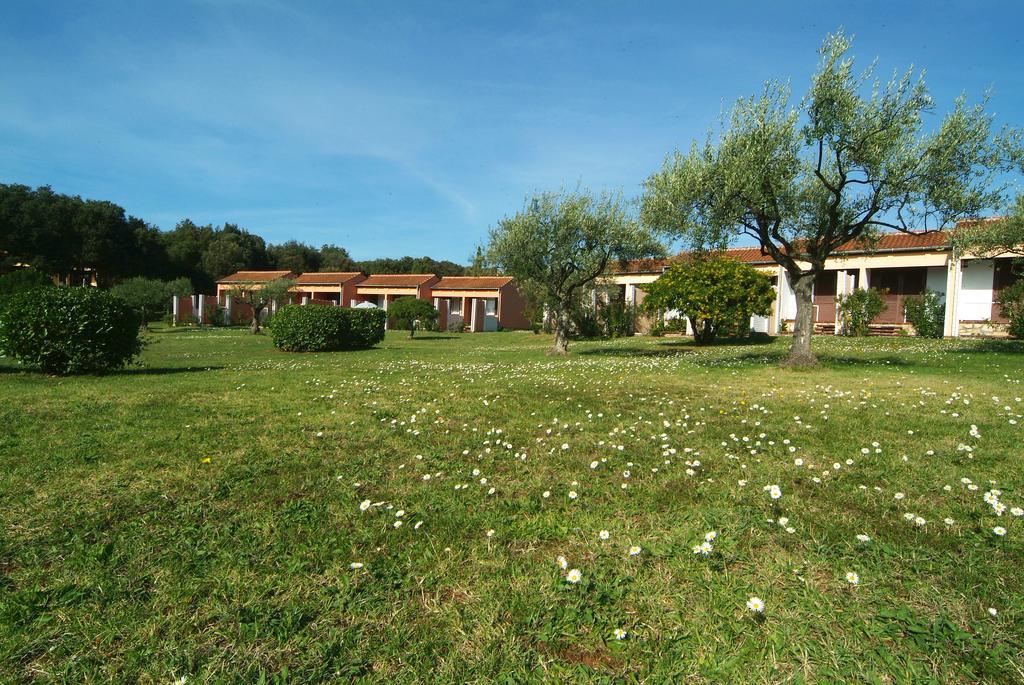 ורסאר Koversada Rooms מראה חיצוני תמונה